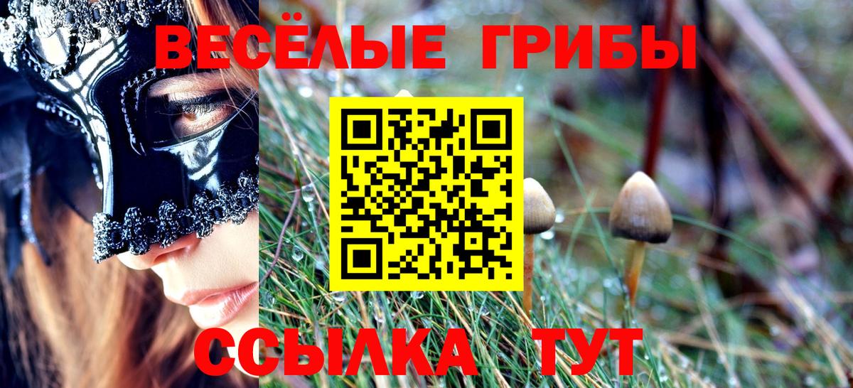 Псилоцибиновые грибы Magic Shrooms Лесосибирск